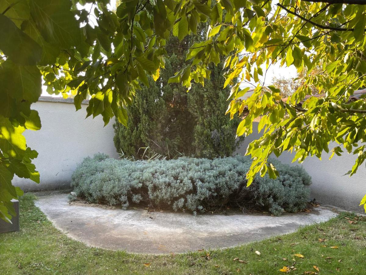 Studio Les Petits Lutins Entraigues-sur-la-Sorgue Zewnętrze zdjęcie