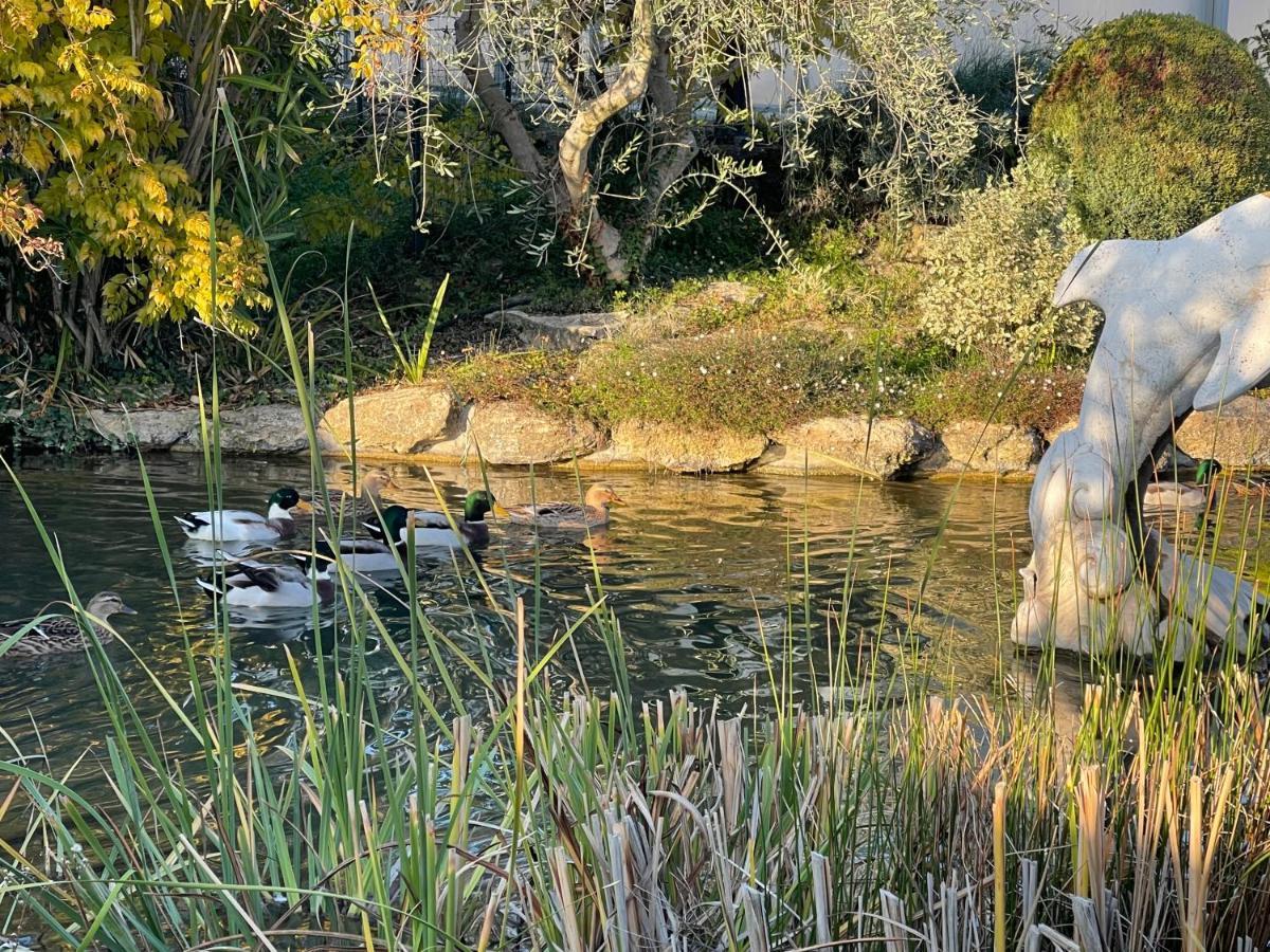 Studio Les Petits Lutins Entraigues-sur-la-Sorgue Zewnętrze zdjęcie